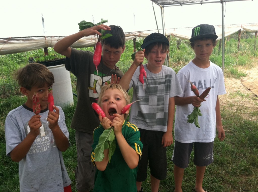 Boys and their radishes
